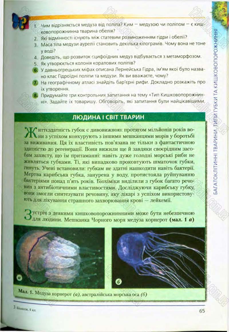 Сторінка 65 - Підручник Біологія 8 клас Т.І. Базанова, Ю.В. Павіченко, О.Г. Шатровський 2008
