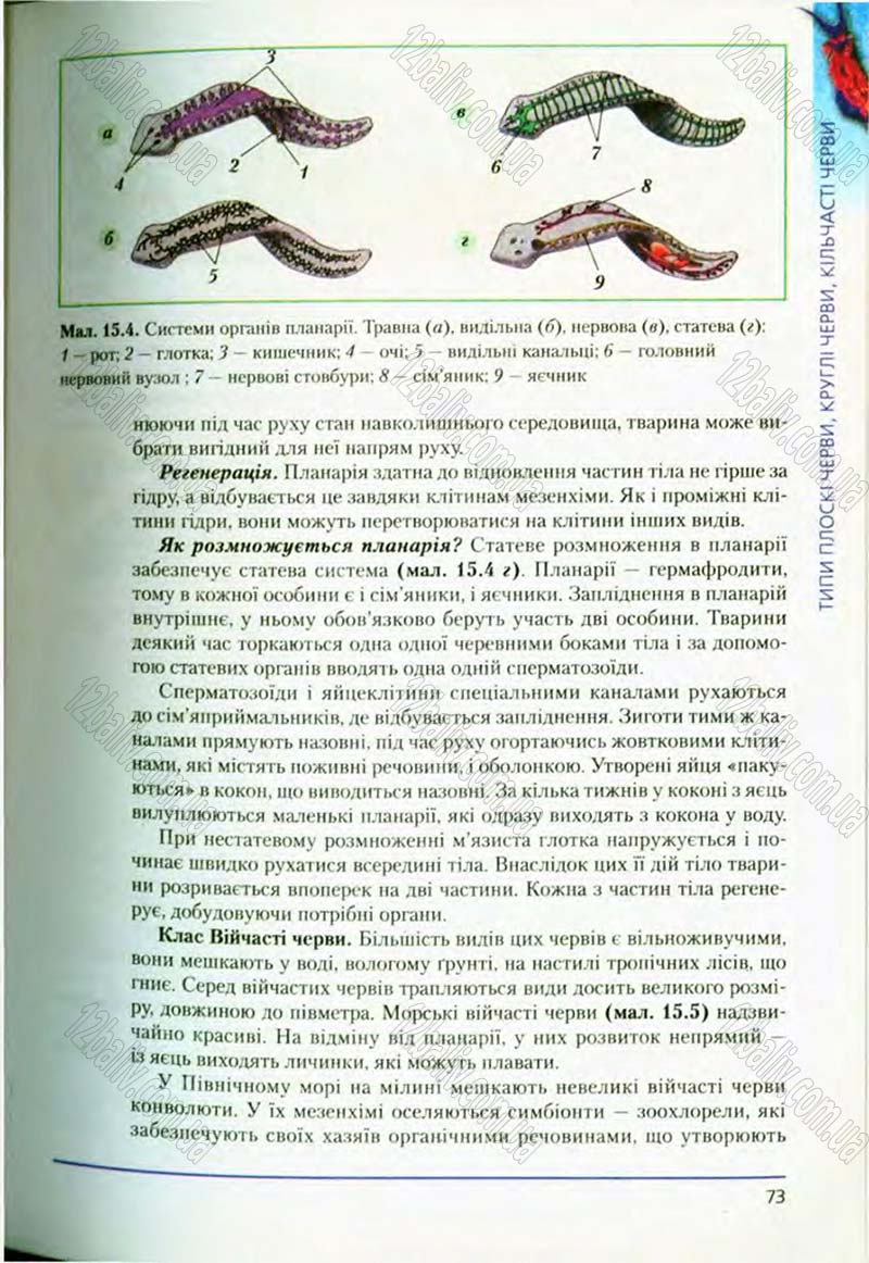 Сторінка 73 - Підручник Біологія 8 клас Т.І. Базанова, Ю.В. Павіченко, О.Г. Шатровський 2008