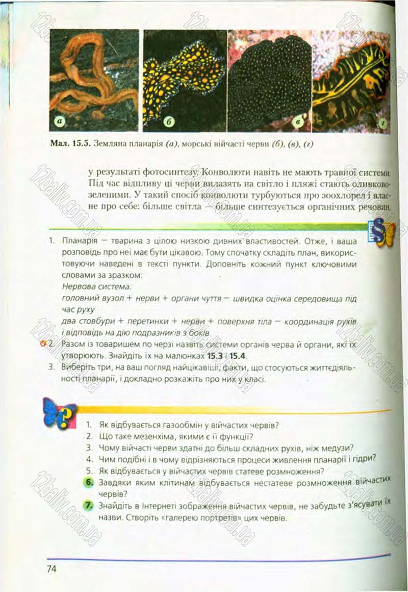 Сторінка 74 - Підручник Біологія 8 клас Т.І. Базанова, Ю.В. Павіченко, О.Г. Шатровський 2008