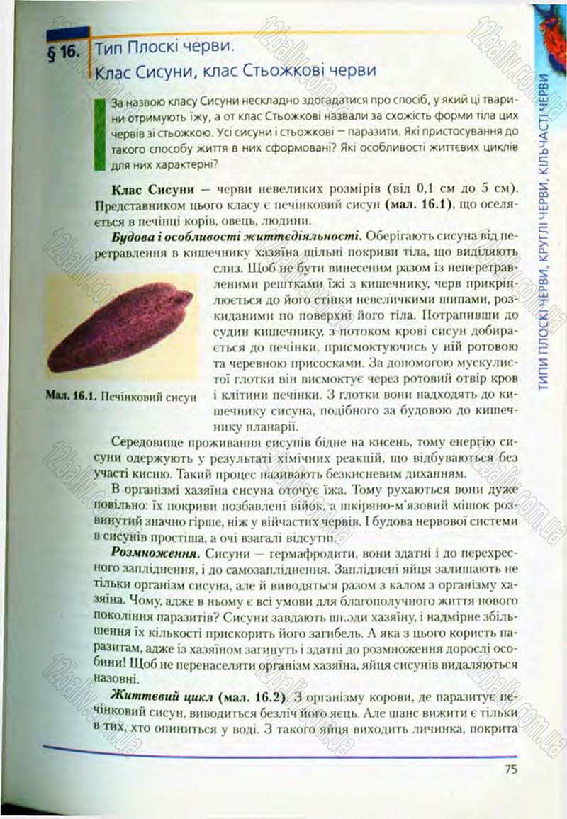 Сторінка 75 - Підручник Біологія 8 клас Т.І. Базанова, Ю.В. Павіченко, О.Г. Шатровський 2008