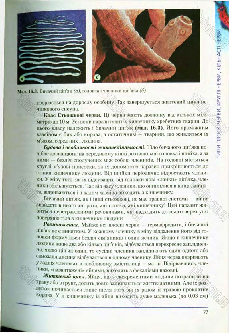 Сторінка 77 - Підручник Біологія 8 клас Т.І. Базанова, Ю.В. Павіченко, О.Г. Шатровський 2008