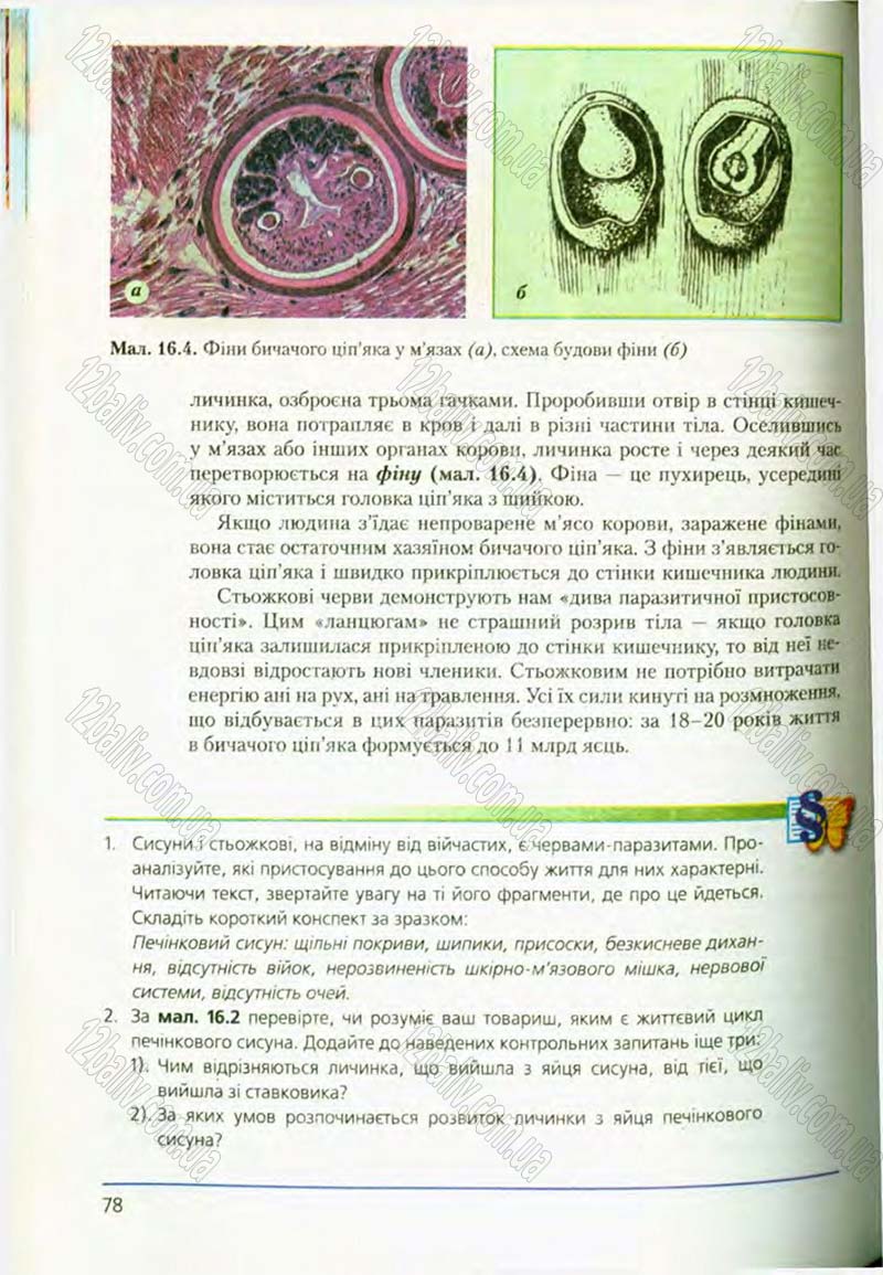 Сторінка 78 - Підручник Біологія 8 клас Т.І. Базанова, Ю.В. Павіченко, О.Г. Шатровський 2008