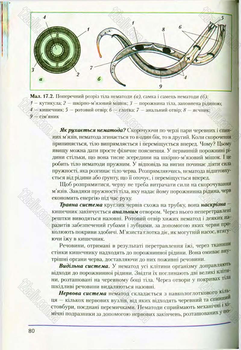 Сторінка 80 - Підручник Біологія 8 клас Т.І. Базанова, Ю.В. Павіченко, О.Г. Шатровський 2008