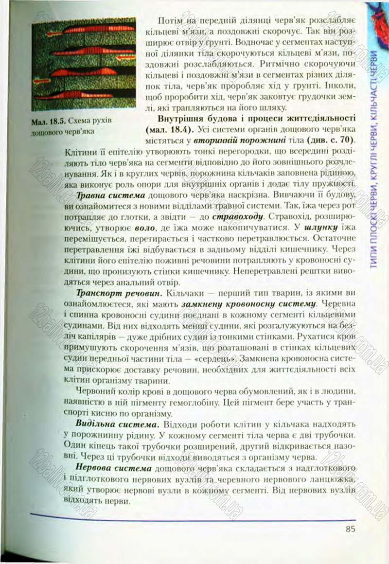 Сторінка 85 - Підручник Біологія 8 клас Т.І. Базанова, Ю.В. Павіченко, О.Г. Шатровський 2008