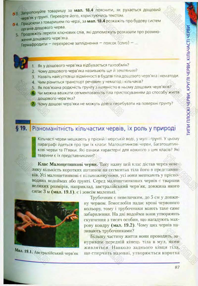 Сторінка 87 - Підручник Біологія 8 клас Т.І. Базанова, Ю.В. Павіченко, О.Г. Шатровський 2008