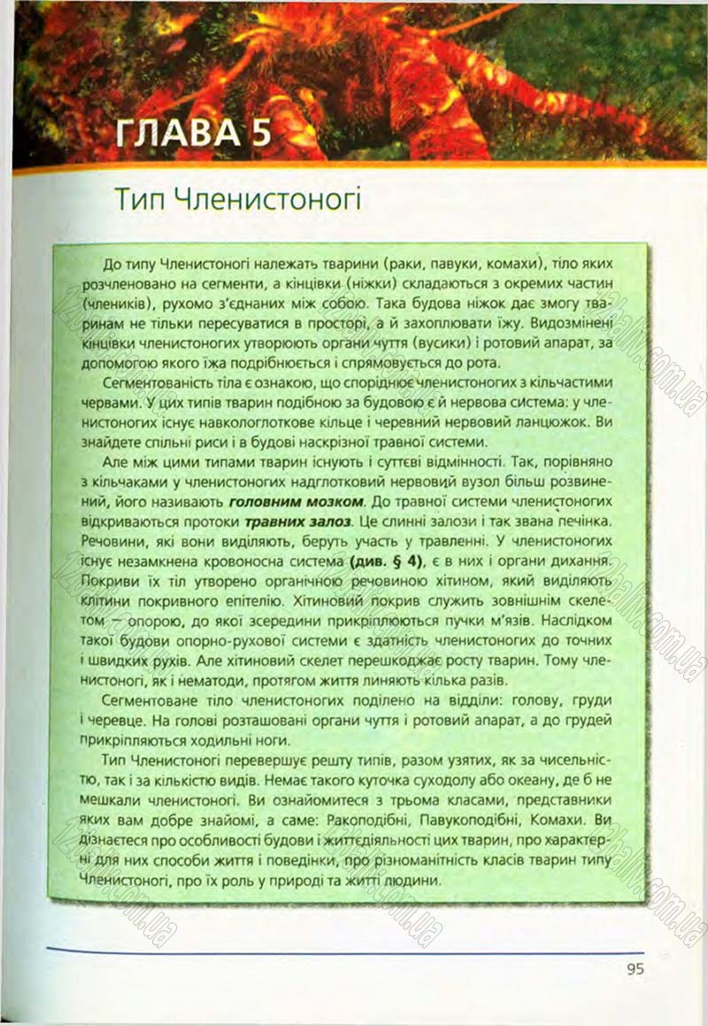 Сторінка 95 - Підручник Біологія 8 клас Т.І. Базанова, Ю.В. Павіченко, О.Г. Шатровський 2008