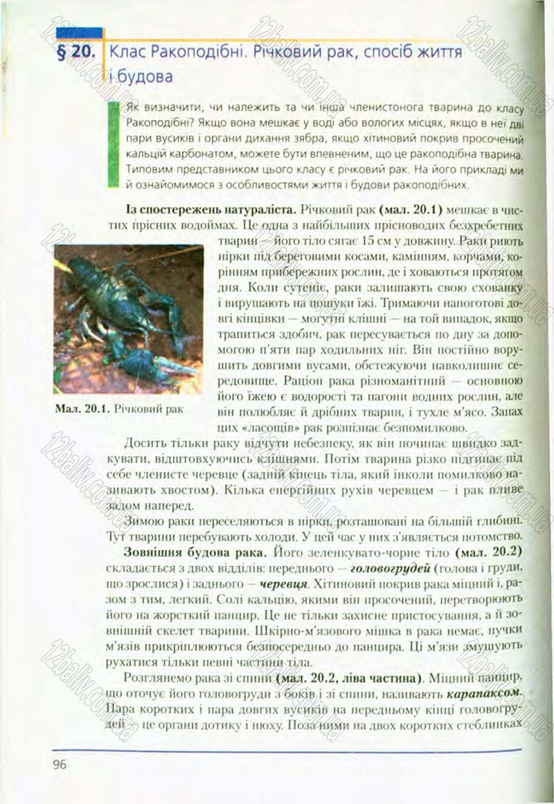 Сторінка 96 - Підручник Біологія 8 клас Т.І. Базанова, Ю.В. Павіченко, О.Г. Шатровський 2008