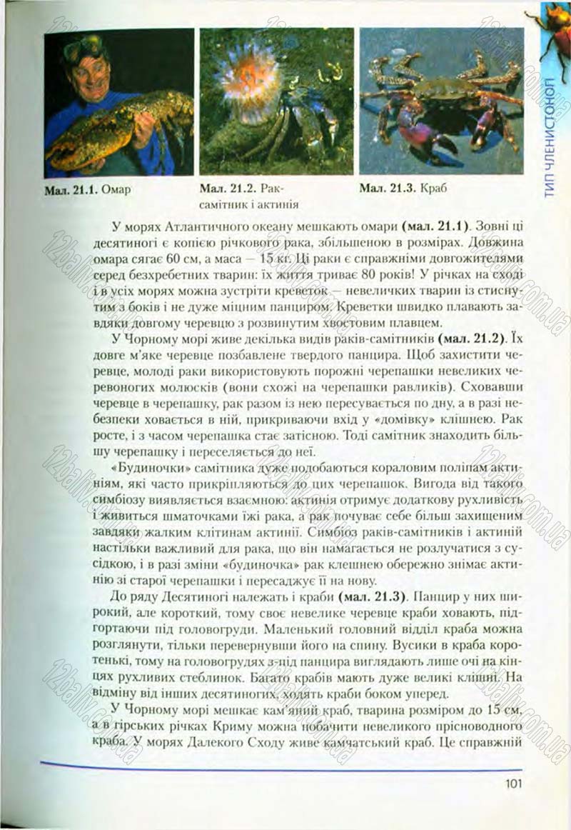 Сторінка 101 - Підручник Біологія 8 клас Т.І. Базанова, Ю.В. Павіченко, О.Г. Шатровський 2008