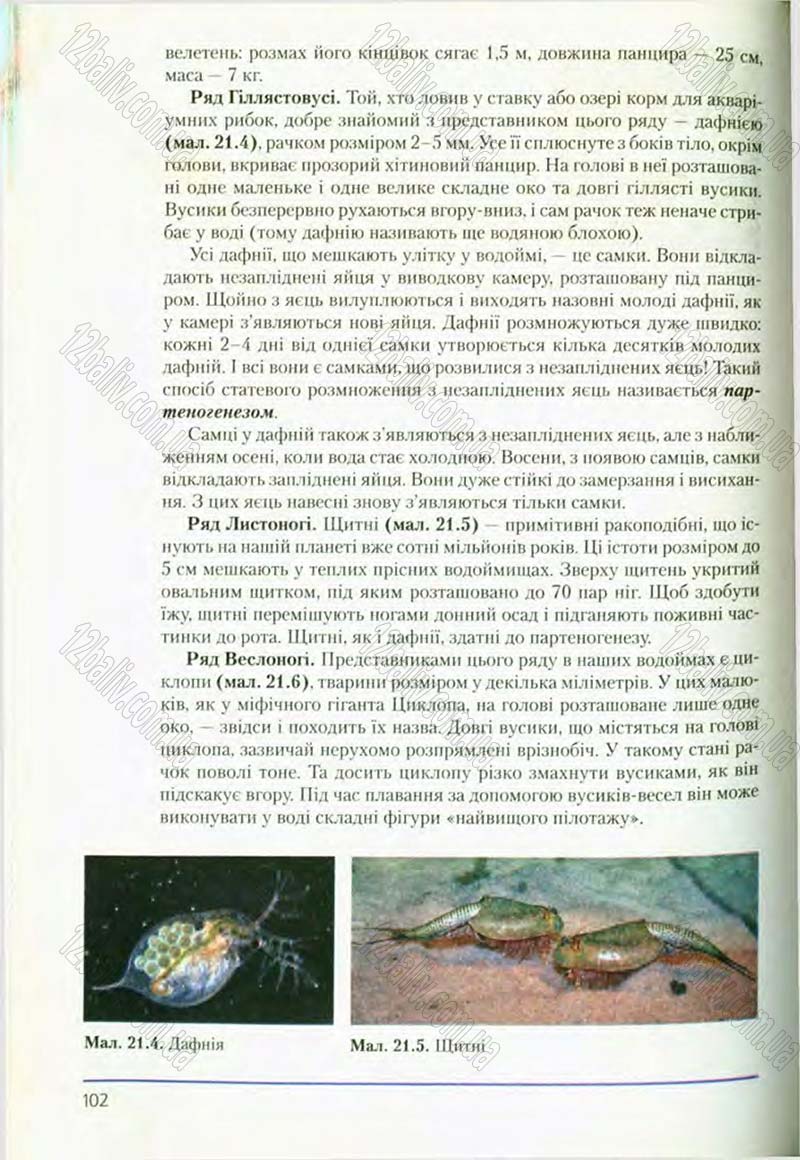 Сторінка 102 - Підручник Біологія 8 клас Т.І. Базанова, Ю.В. Павіченко, О.Г. Шатровський 2008