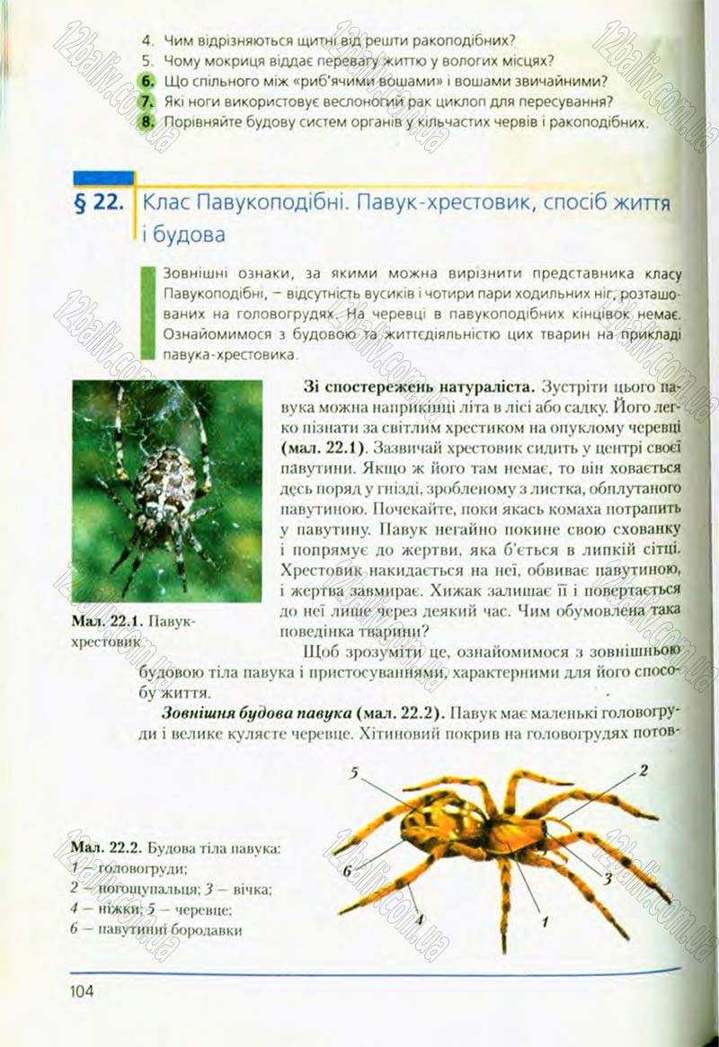 Сторінка 104 - Підручник Біологія 8 клас Т.І. Базанова, Ю.В. Павіченко, О.Г. Шатровський 2008