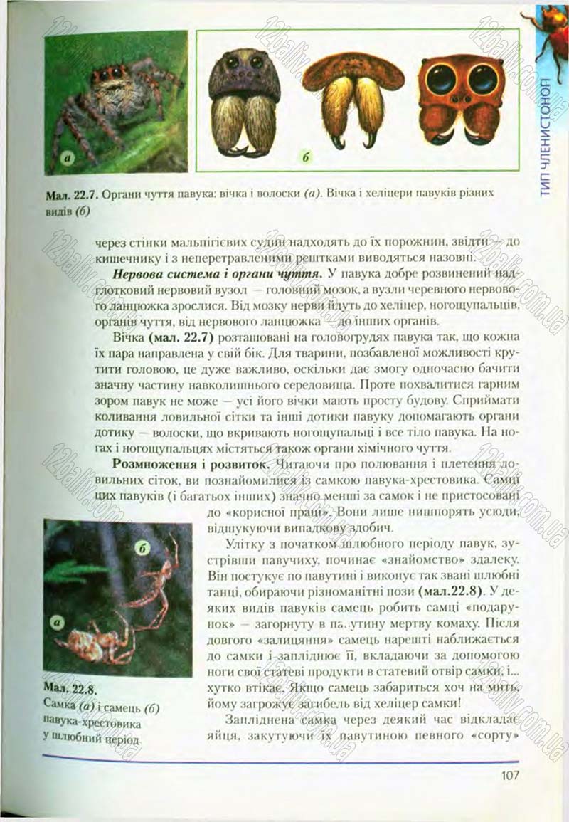 Сторінка 107 - Підручник Біологія 8 клас Т.І. Базанова, Ю.В. Павіченко, О.Г. Шатровський 2008