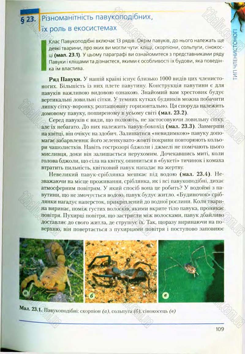 Сторінка 109 - Підручник Біологія 8 клас Т.І. Базанова, Ю.В. Павіченко, О.Г. Шатровський 2008