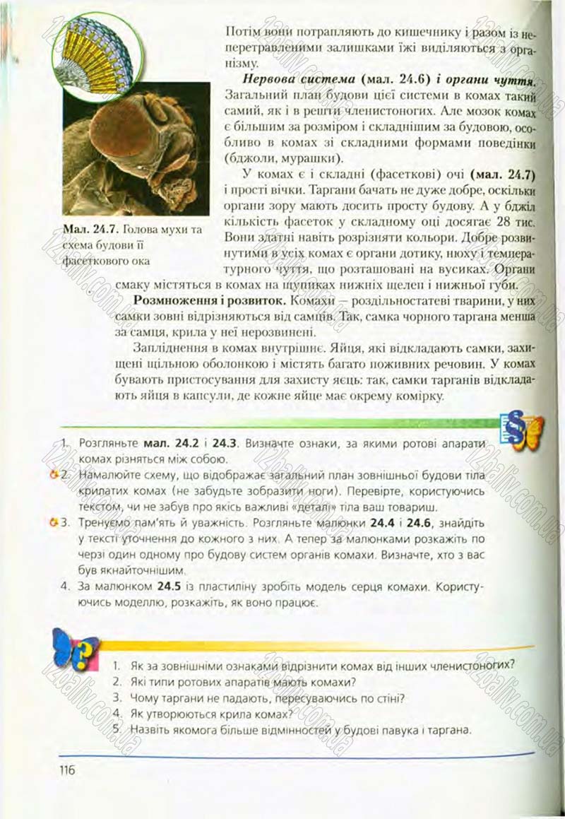 Сторінка 116 - Підручник Біологія 8 клас Т.І. Базанова, Ю.В. Павіченко, О.Г. Шатровський 2008