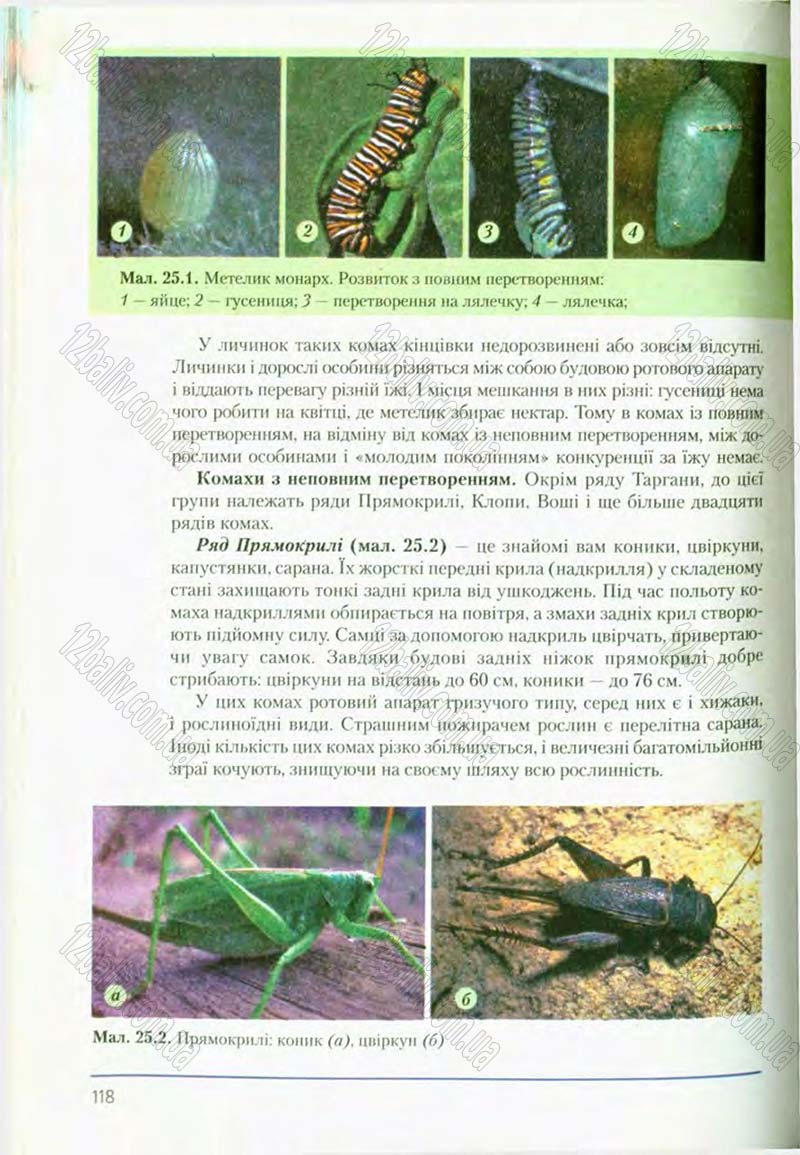 Сторінка 118 - Підручник Біологія 8 клас Т.І. Базанова, Ю.В. Павіченко, О.Г. Шатровський 2008