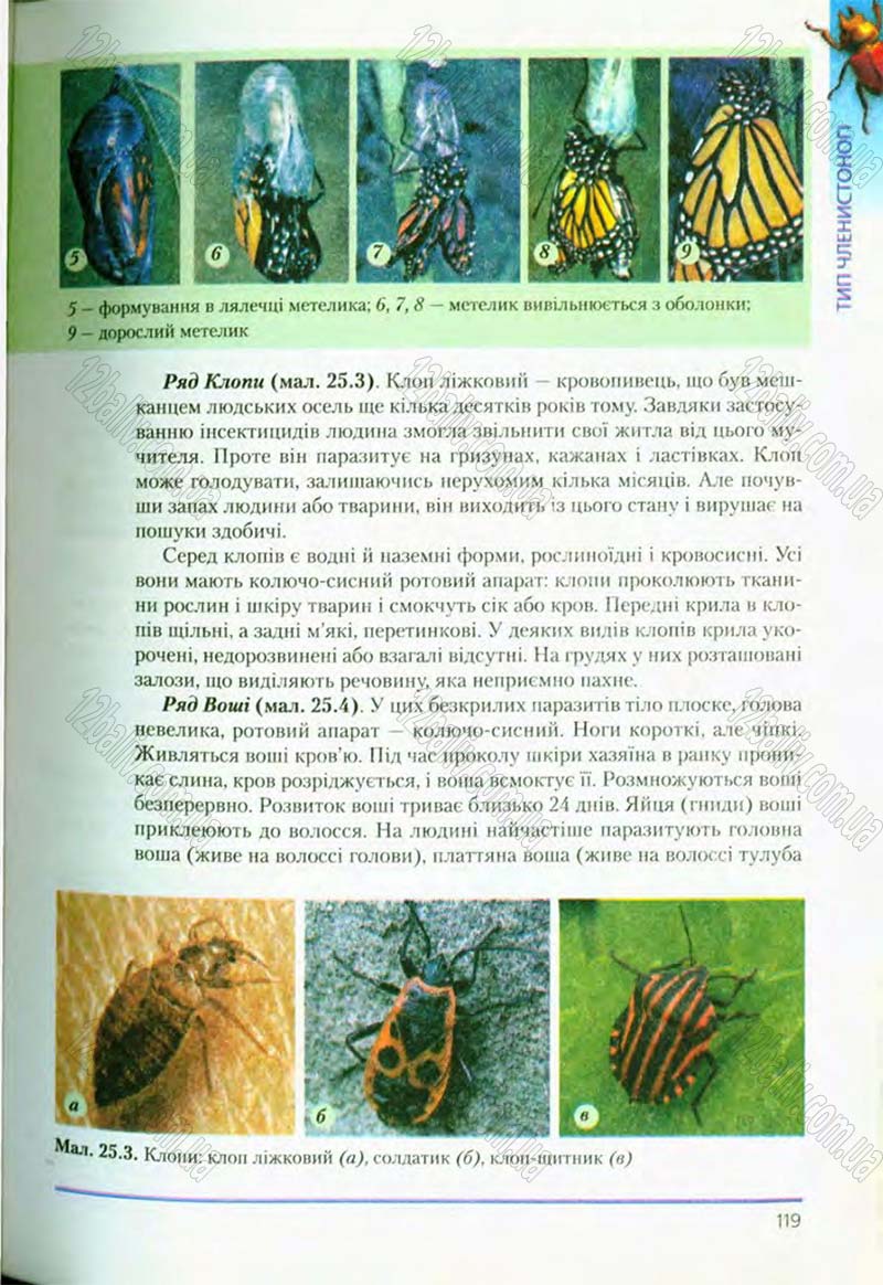 Сторінка 119 - Підручник Біологія 8 клас Т.І. Базанова, Ю.В. Павіченко, О.Г. Шатровський 2008