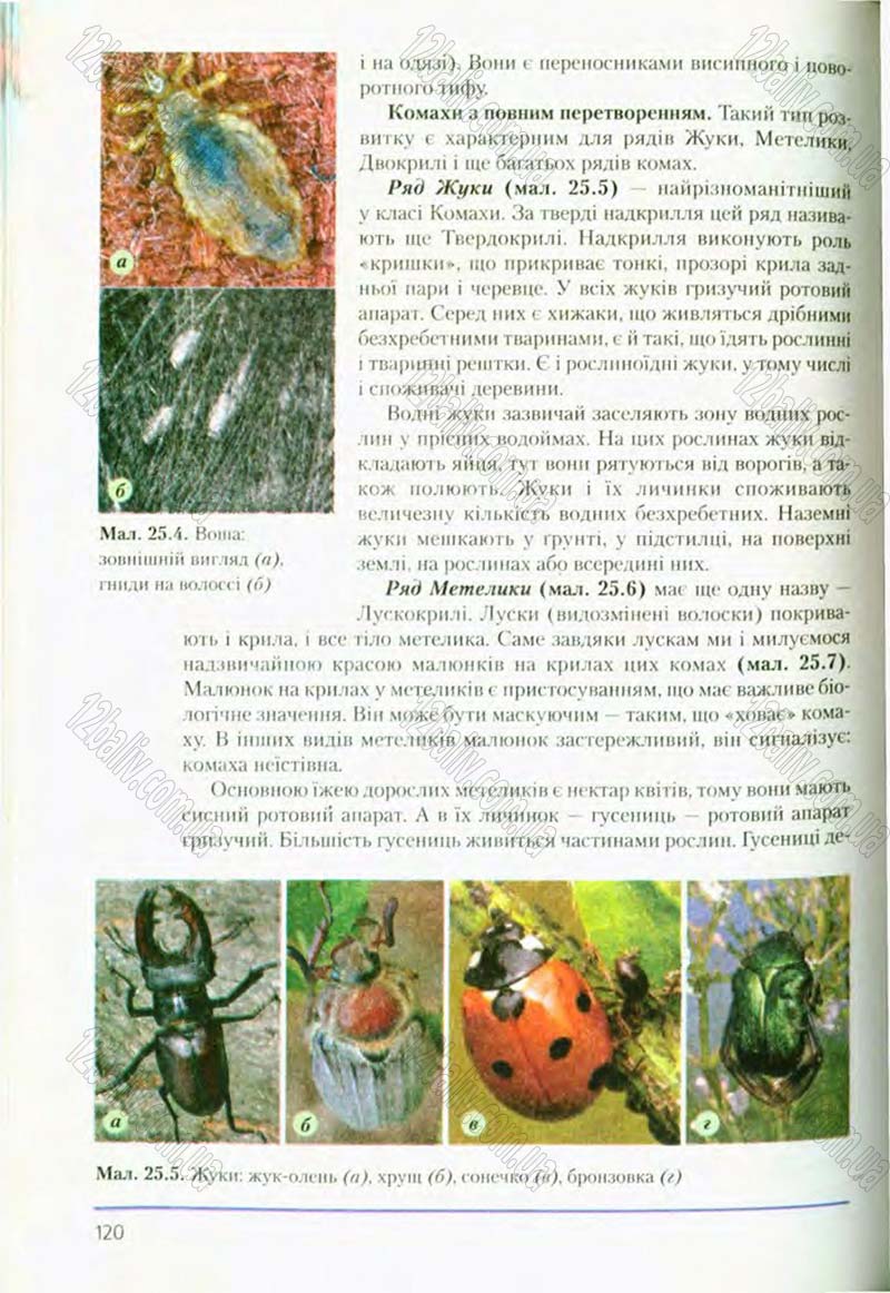 Сторінка 120 - Підручник Біологія 8 клас Т.І. Базанова, Ю.В. Павіченко, О.Г. Шатровський 2008