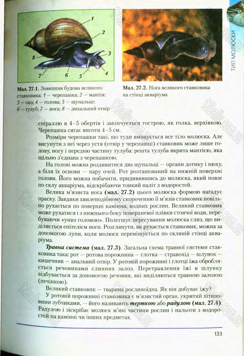 Сторінка 133 - Підручник Біологія 8 клас Т.І. Базанова, Ю.В. Павіченко, О.Г. Шатровський 2008