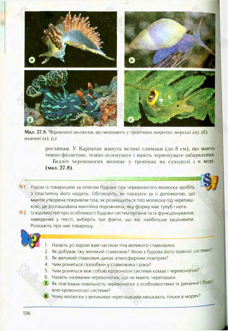 Сторінка 136 - Підручник Біологія 8 клас Т.І. Базанова, Ю.В. Павіченко, О.Г. Шатровський 2008