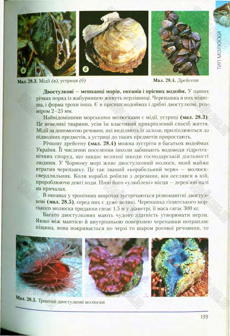 Сторінка 139 - Підручник Біологія 8 клас Т.І. Базанова, Ю.В. Павіченко, О.Г. Шатровський 2008