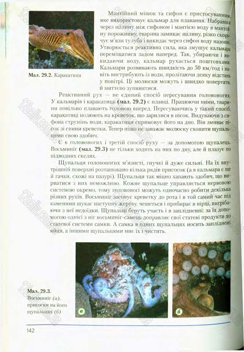 Сторінка 142 - Підручник Біологія 8 клас Т.І. Базанова, Ю.В. Павіченко, О.Г. Шатровський 2008