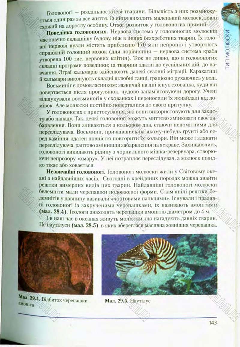 Сторінка 143 - Підручник Біологія 8 клас Т.І. Базанова, Ю.В. Павіченко, О.Г. Шатровський 2008