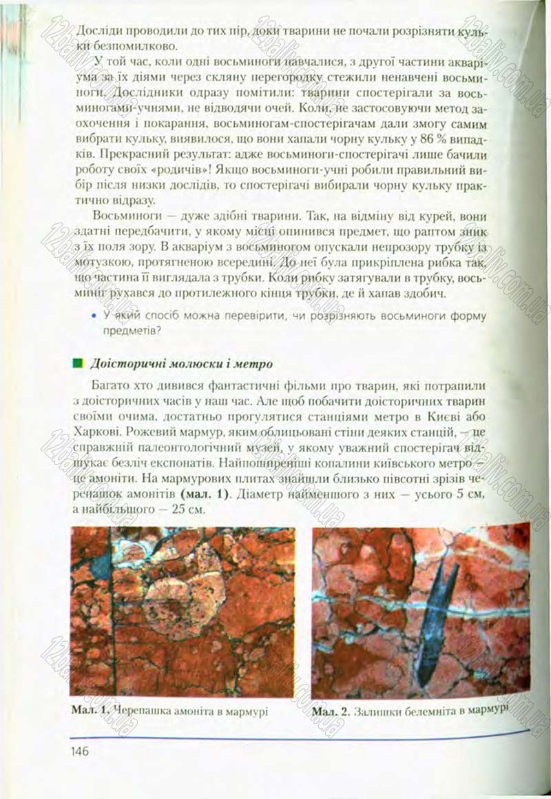 Сторінка 146 - Підручник Біологія 8 клас Т.І. Базанова, Ю.В. Павіченко, О.Г. Шатровський 2008