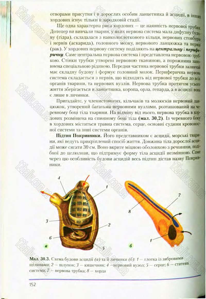 Сторінка 152 - Підручник Біологія 8 клас Т.І. Базанова, Ю.В. Павіченко, О.Г. Шатровський 2008