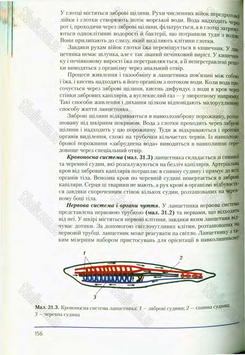 Сторінка 156 - Підручник Біологія 8 клас Т.І. Базанова, Ю.В. Павіченко, О.Г. Шатровський 2008