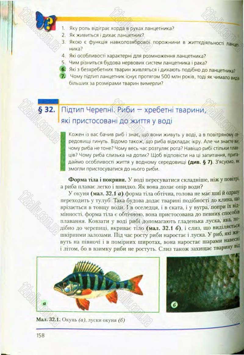 Сторінка 158 - Підручник Біологія 8 клас Т.І. Базанова, Ю.В. Павіченко, О.Г. Шатровський 2008