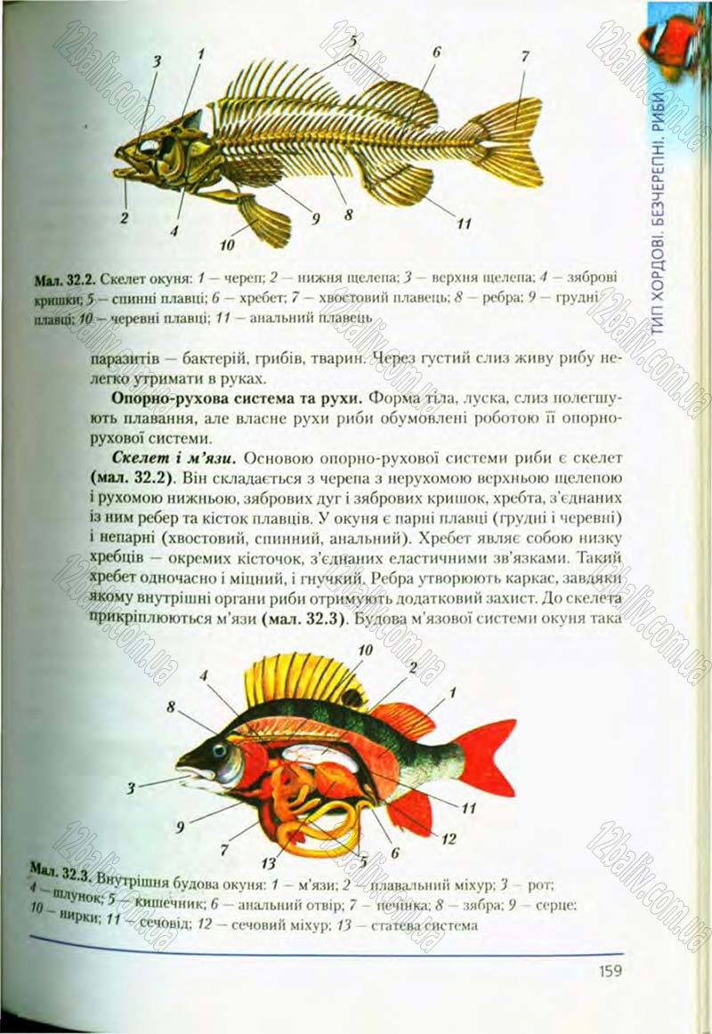 Сторінка 159 - Підручник Біологія 8 клас Т.І. Базанова, Ю.В. Павіченко, О.Г. Шатровський 2008