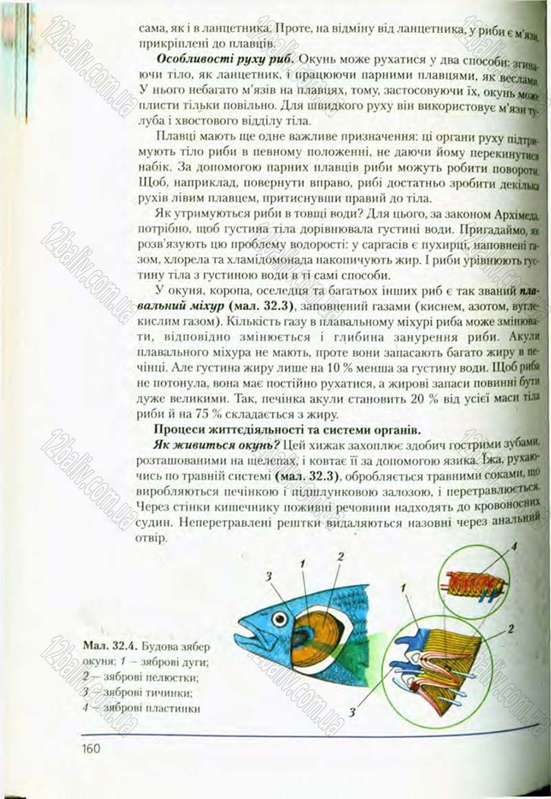 Сторінка 160 - Підручник Біологія 8 клас Т.І. Базанова, Ю.В. Павіченко, О.Г. Шатровський 2008