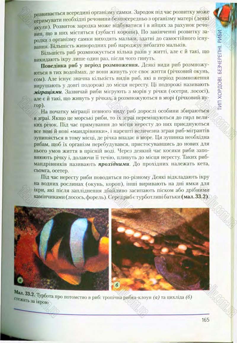 Сторінка 165 - Підручник Біологія 8 клас Т.І. Базанова, Ю.В. Павіченко, О.Г. Шатровський 2008