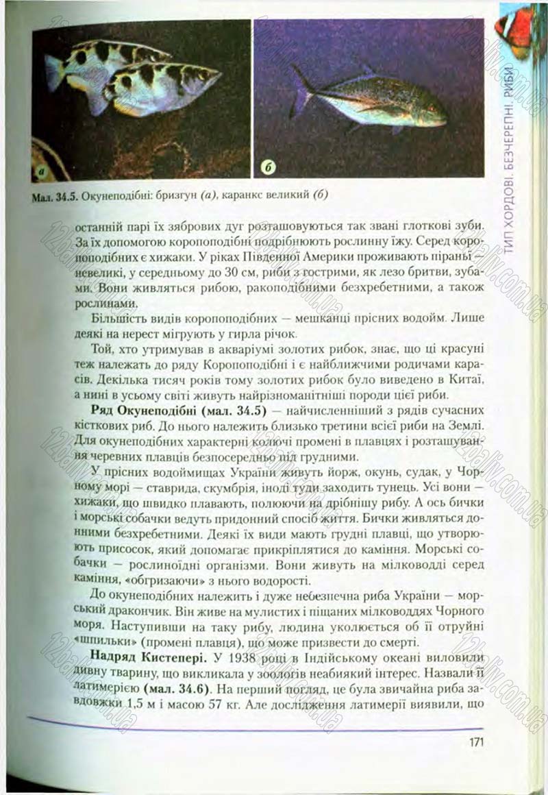 Сторінка 171 - Підручник Біологія 8 клас Т.І. Базанова, Ю.В. Павіченко, О.Г. Шатровський 2008