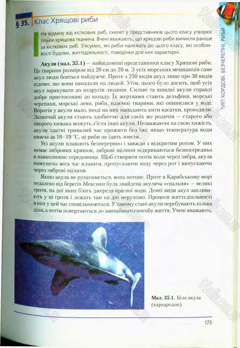 Сторінка 173 - Підручник Біологія 8 клас Т.І. Базанова, Ю.В. Павіченко, О.Г. Шатровський 2008