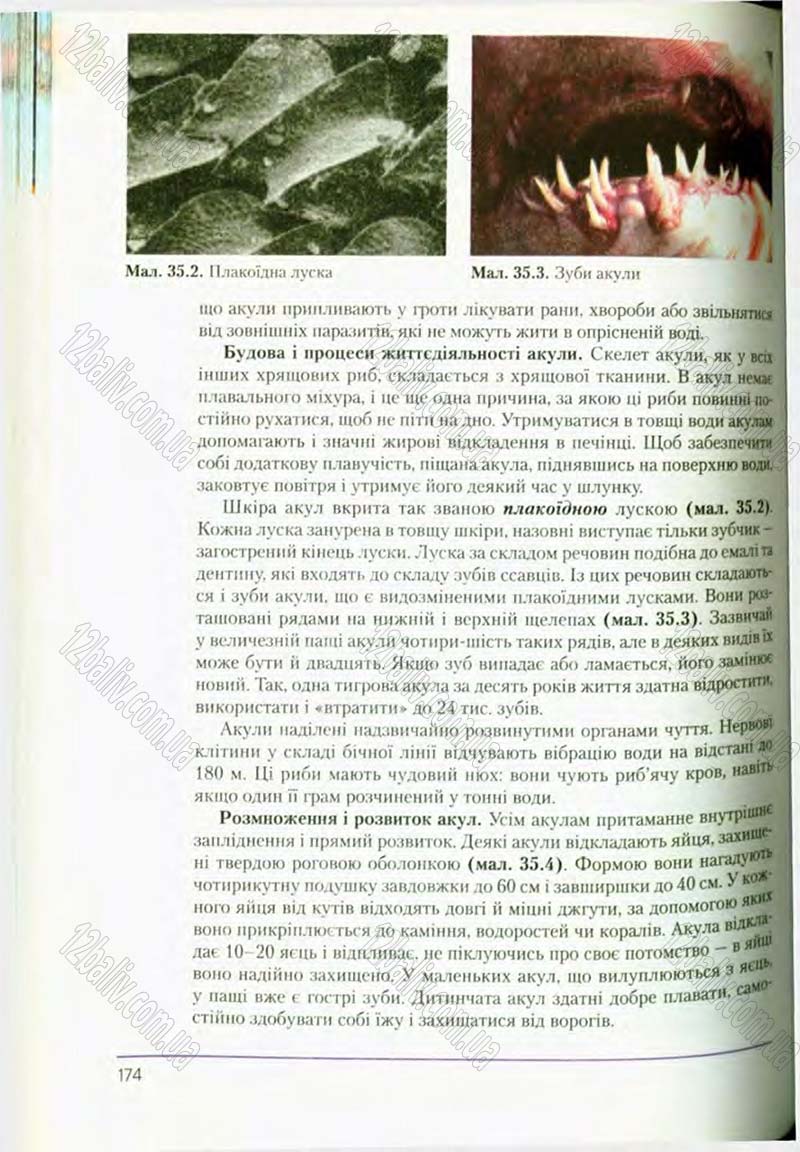 Сторінка 174 - Підручник Біологія 8 клас Т.І. Базанова, Ю.В. Павіченко, О.Г. Шатровський 2008