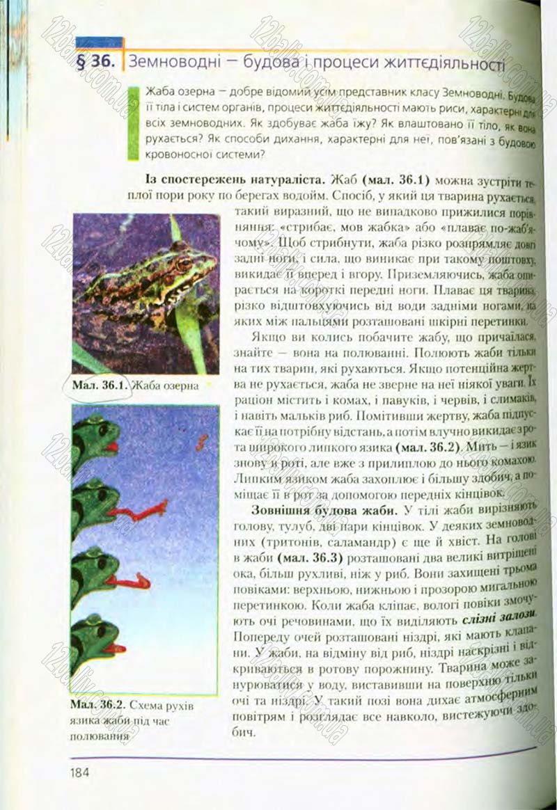 Сторінка 184 - Підручник Біологія 8 клас Т.І. Базанова, Ю.В. Павіченко, О.Г. Шатровський 2008