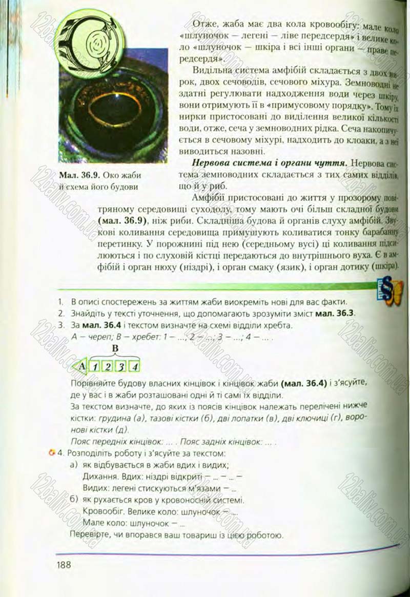 Сторінка 188 - Підручник Біологія 8 клас Т.І. Базанова, Ю.В. Павіченко, О.Г. Шатровський 2008