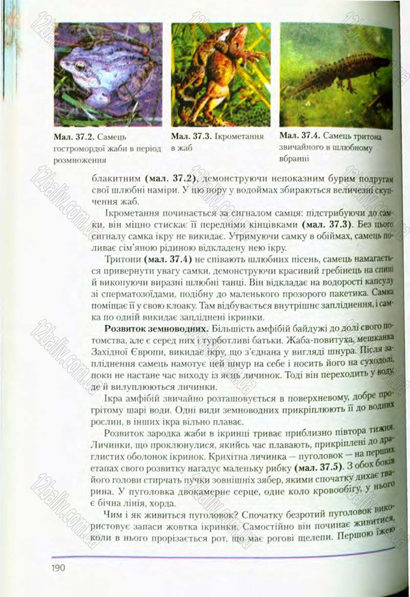 Сторінка 190 - Підручник Біологія 8 клас Т.І. Базанова, Ю.В. Павіченко, О.Г. Шатровський 2008