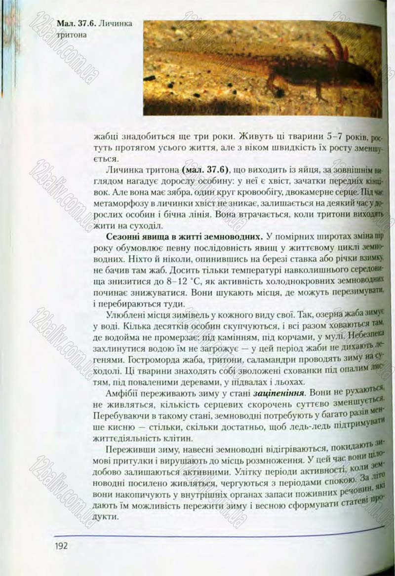 Сторінка 192 - Підручник Біологія 8 клас Т.І. Базанова, Ю.В. Павіченко, О.Г. Шатровський 2008