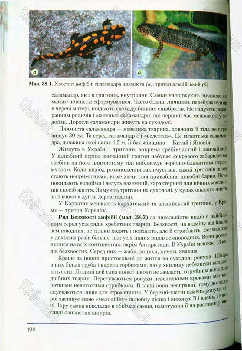 Сторінка 194 - Підручник Біологія 8 клас Т.І. Базанова, Ю.В. Павіченко, О.Г. Шатровський 2008