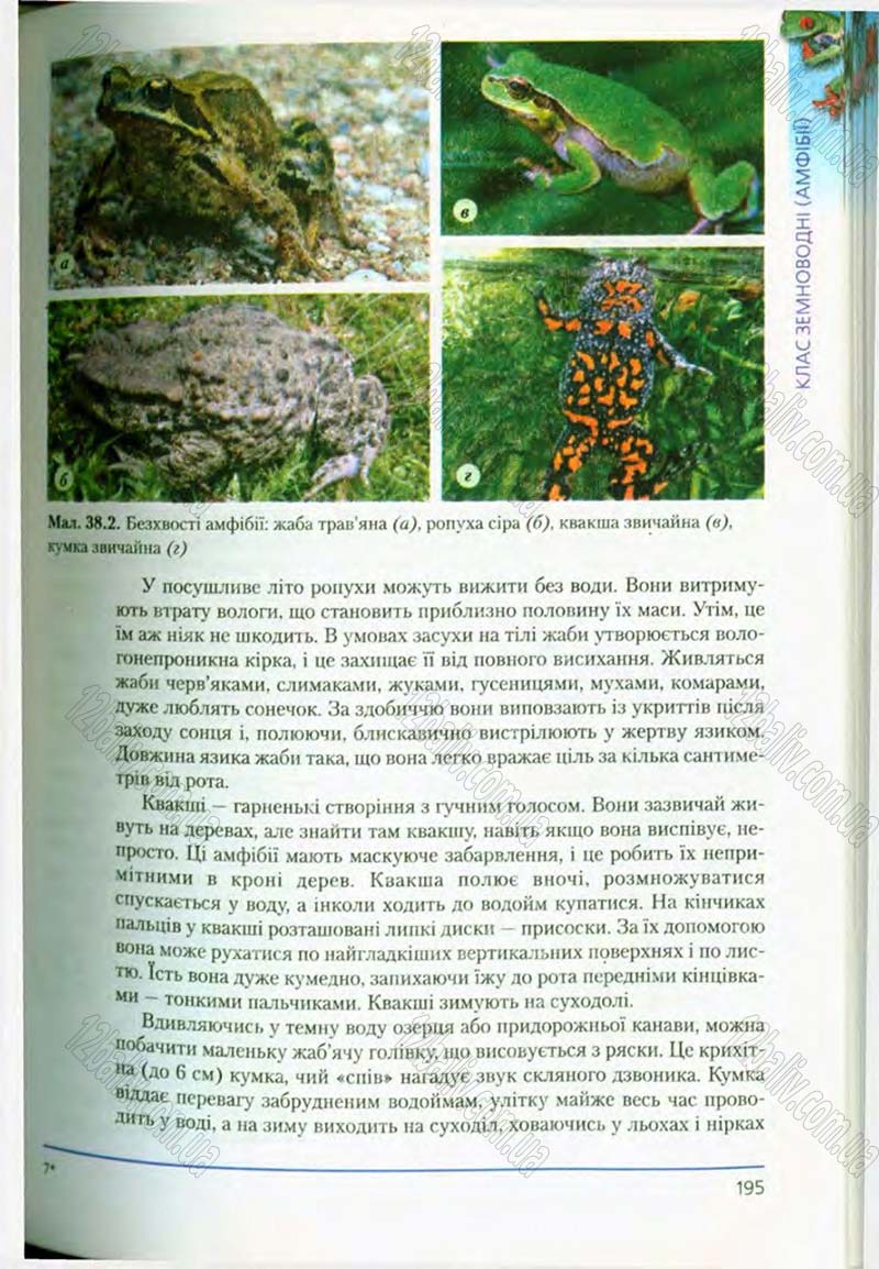 Сторінка 195 - Підручник Біологія 8 клас Т.І. Базанова, Ю.В. Павіченко, О.Г. Шатровський 2008