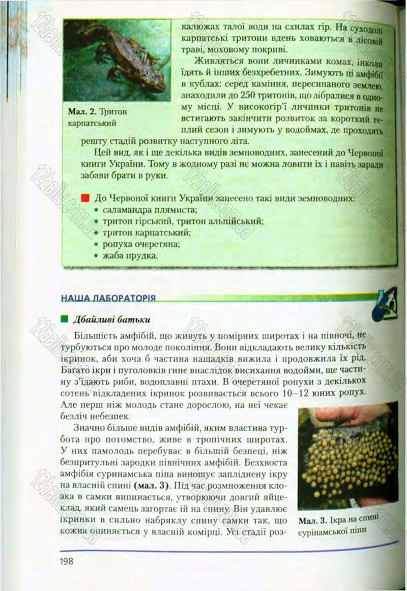 Сторінка 198 - Підручник Біологія 8 клас Т.І. Базанова, Ю.В. Павіченко, О.Г. Шатровський 2008