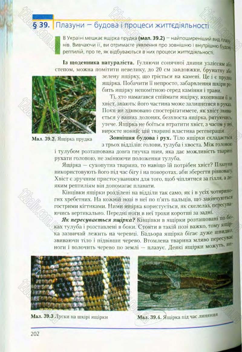 Сторінка 202 - Підручник Біологія 8 клас Т.І. Базанова, Ю.В. Павіченко, О.Г. Шатровський 2008