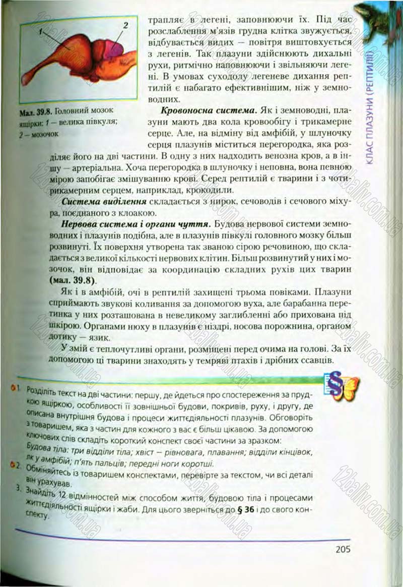 Сторінка 205 - Підручник Біологія 8 клас Т.І. Базанова, Ю.В. Павіченко, О.Г. Шатровський 2008