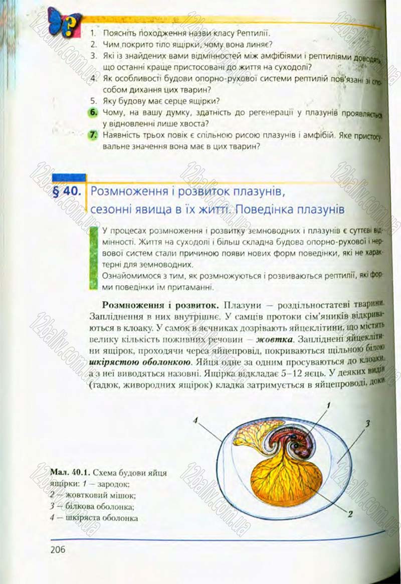 Сторінка 206 - Підручник Біологія 8 клас Т.І. Базанова, Ю.В. Павіченко, О.Г. Шатровський 2008