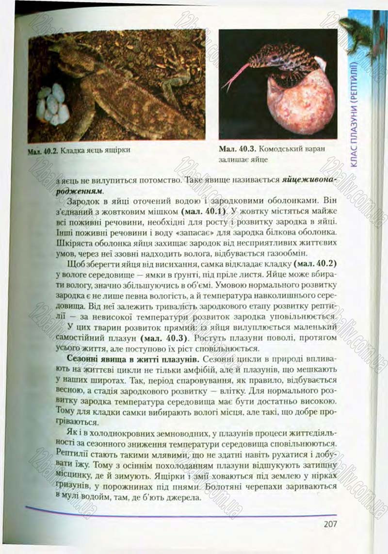 Сторінка 207 - Підручник Біологія 8 клас Т.І. Базанова, Ю.В. Павіченко, О.Г. Шатровський 2008