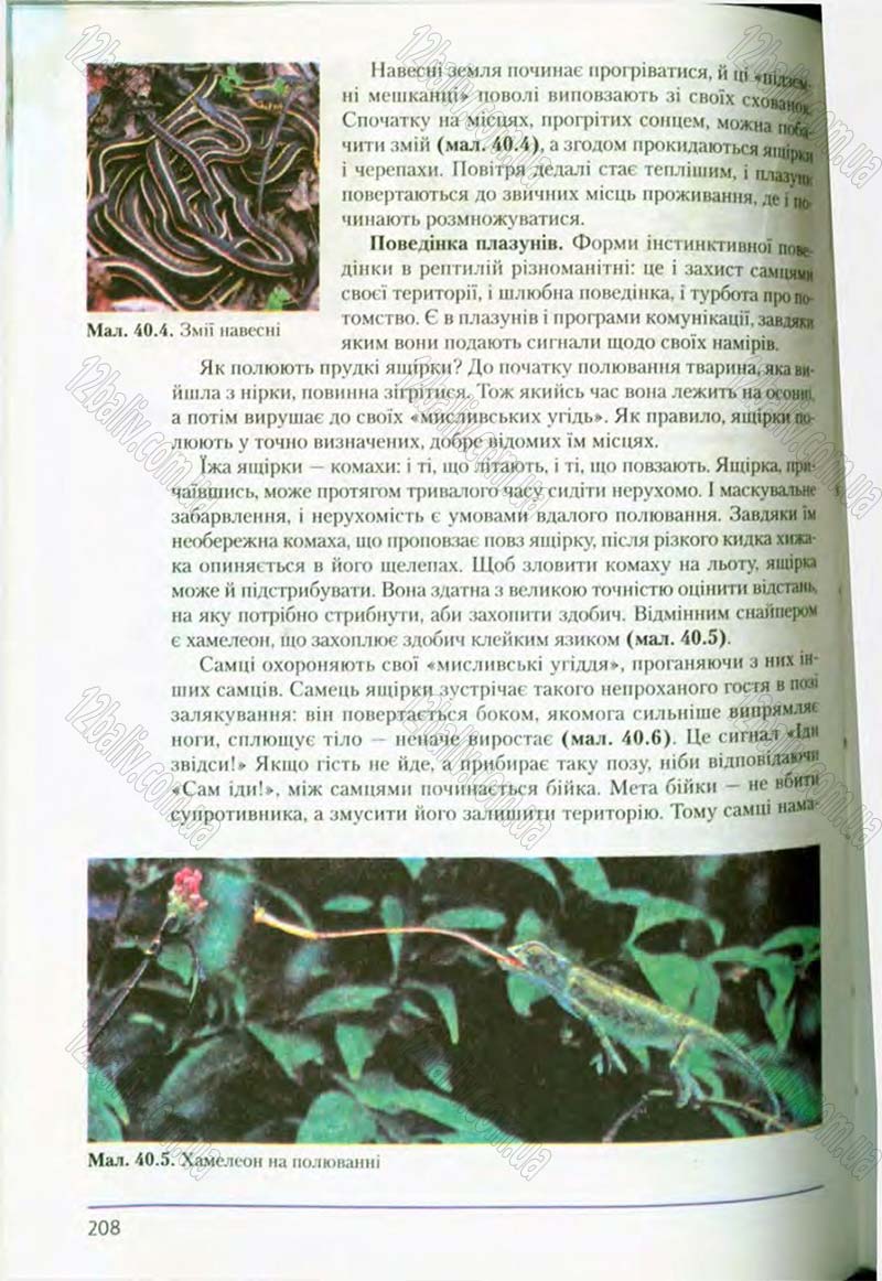 Сторінка 208 - Підручник Біологія 8 клас Т.І. Базанова, Ю.В. Павіченко, О.Г. Шатровський 2008