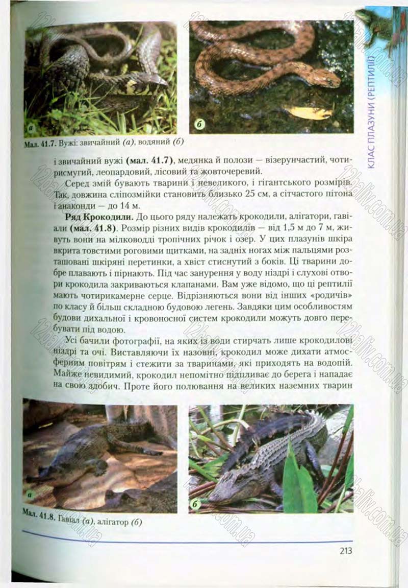 Сторінка 213 - Підручник Біологія 8 клас Т.І. Базанова, Ю.В. Павіченко, О.Г. Шатровський 2008