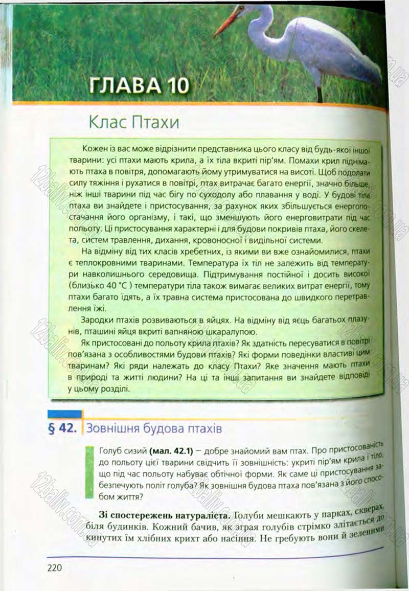 Сторінка 220 - Підручник Біологія 8 клас Т.І. Базанова, Ю.В. Павіченко, О.Г. Шатровський 2008