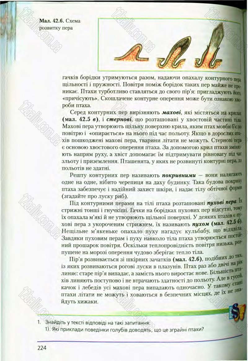 Сторінка 224 - Підручник Біологія 8 клас Т.І. Базанова, Ю.В. Павіченко, О.Г. Шатровський 2008